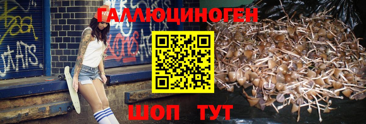 Галлюциногенные грибы ЛСД Удомля