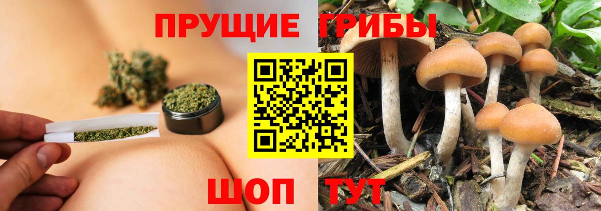 Псилоцибиновые грибы Psilocybine cubensis  Псилоцибиновые грибы Psilocybe  Вход с VPN  Удомля 